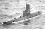 USS Mackerel (SST-1).jpg