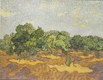 Van Gogh - Olivenhain2.jpeg
