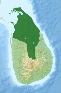 &nbsp;&nbsp;&nbsp;&nbsp;&nbsp;Царство Анурадхапура