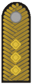 Belarus BKA 1944 parade - Hienieral palkoŭnik.gif