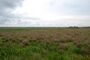 Bolen Bluff Trail Overlook.jpg