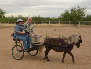 Dad in the cart.jpg
