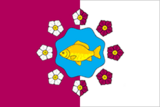 Флаг