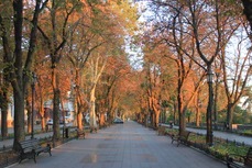 Odessa Promenade.JPG