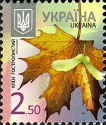 Stamp 2012 Klen hostrolystyj.JPG
