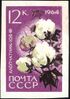 The Soviet Union 1964 CPA 3061 stamp (Agricultural Crops of the USSR. Gossypium or cotton plant '108 F' (Gossypium sp.)).jpg