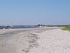 Beach Meadows.JPG