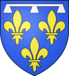Blason duche fr Orleans (moderne).svg