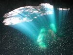 Cenote-reflection.jpg