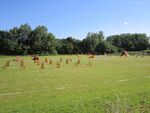 Dog obstacle course, Meols, Wirral - IMG 0807.JPG