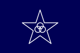 Флаг