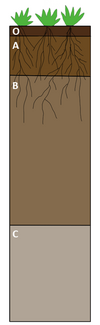 Generalized Soil Profile.png