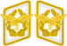 Luftwaffe collar tabs Generaloberst 3D.svg