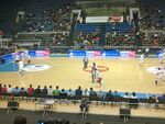 Pesic u Zvezdi.jpg