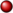 Red pog.png