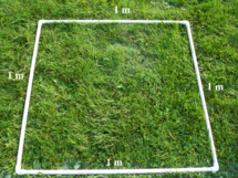 1 сантиар равен площади квадрата со стороной 1 метр.