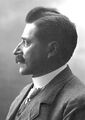 Verner von Heidenstam 1916.jpg
