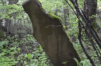 Кладбище Албури (11).JPG