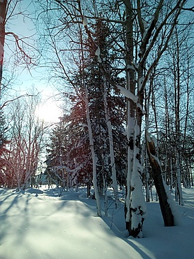 Зимнее изображение