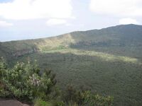 Blick in den Krater Mount Longenot Nationalpark Kenia.JPG