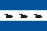 Флаг[d]