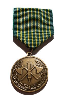 Изображение награды