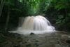 Holly-River-Powerful Waterfall ForestWander.jpg