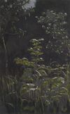 Kuindzhi Forest Burdocks 1898 1908.jpg