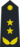 PLANF-0719-LTG.png