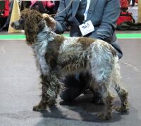 Pont-Audemer in Riga 5.JPG