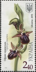 Stamps of Ukraine, 2015-53.jpg