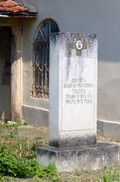 Паметник доктро Василий Злебов Летница.jpg