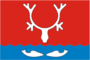 Flag of Naryan-Mar (Nenetsia).png