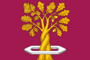 Flag of Tulinovsky (Tambov oblast).png