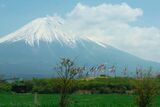 Mt.Fuji from Asagiri highland (3493578870).jpg