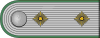 ORPO-Hauptmann h.svg