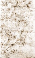 Raffaello, studio per la pala baglioni 10.jpg