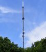 Tacolneston TX mast.jpg