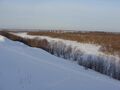 Большая Коряжемка, приток реки Вычегда зимой.JPG