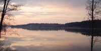 Daugava pie Jaunjelgavas.JPG