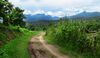 Doisuthepnationalpark0408a.jpg