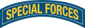 Einzelbild Special Forces (Special Forces Insignia).svg