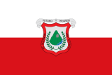 Флаг