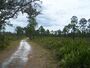 Hontoon Island State Park r2r01.jpg