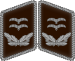 Luftwaffe collar tabs Oberleutnant 3D.svg