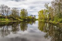 Река Ижора.jpg