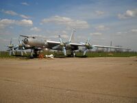 Ту-142.jpg