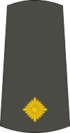 09-Serbian Army-SLT.svg