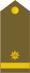12-APM-MAJ.svg