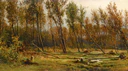 Birches after Storm (Shishkin).jpg